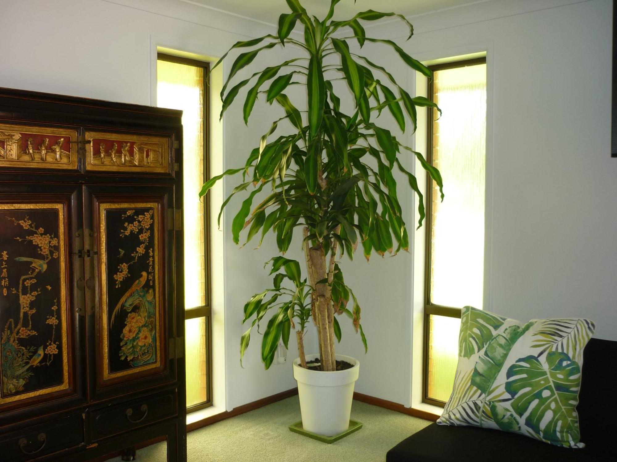 Ferienwohnung Bill'S Coffs Harbour Exterior foto